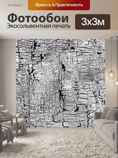 Фотообои черный и белый фон
