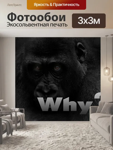 Фотообои Почему