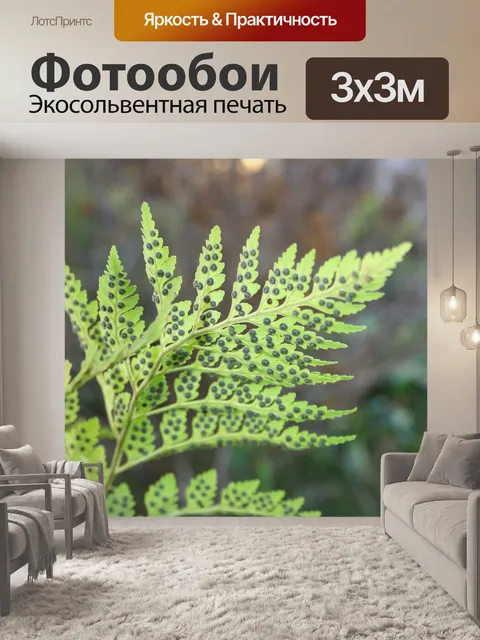 Фотообои зеленый папоротник спорами