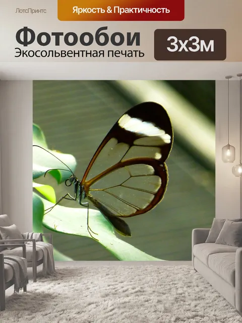 Фотообои Бабочка