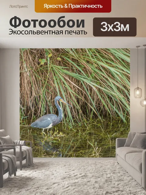 Фотообои птица