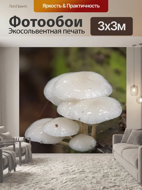 Фотообои Фарфоровый гриб