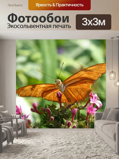 Фотообои Бабочка собирается летать