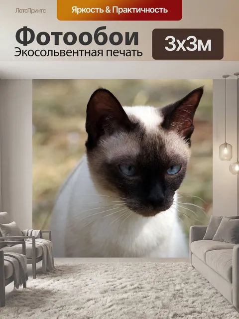 Фотообои Бугристый