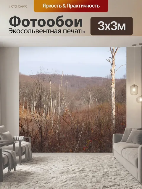 Фотообои Morgan-Монро государственной лесной