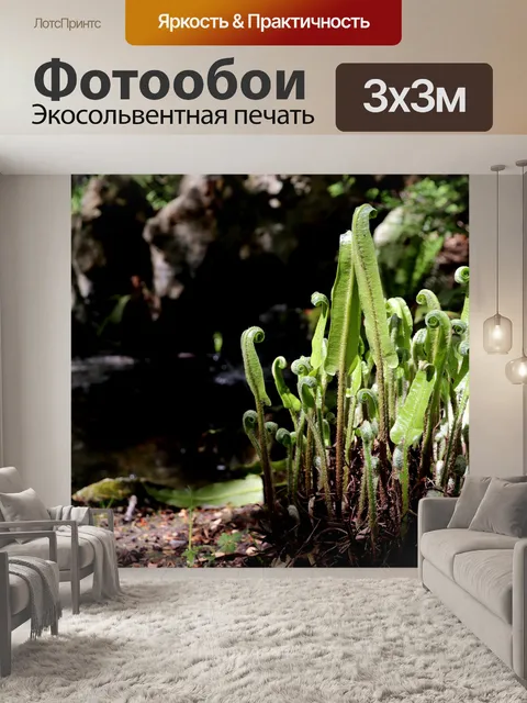 Фотообои Папоротник