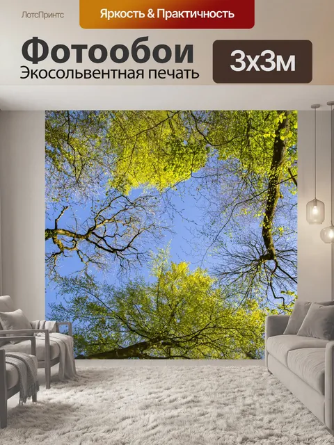 Фотообои Деревенские кроны на глубоком синем небе
