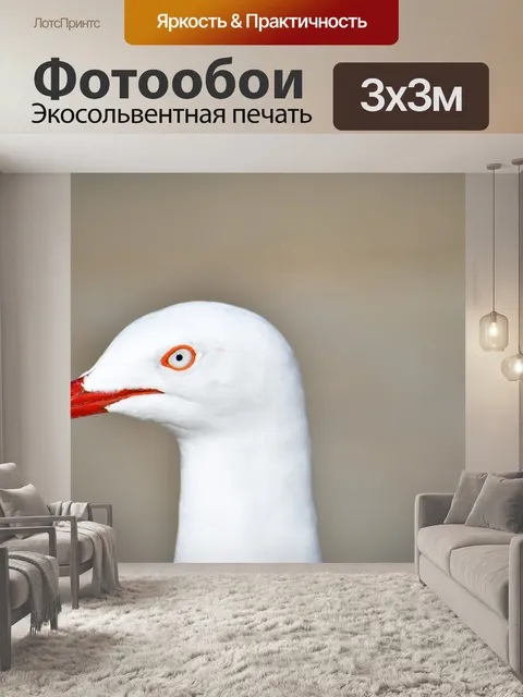 Фотообои Белая птица
