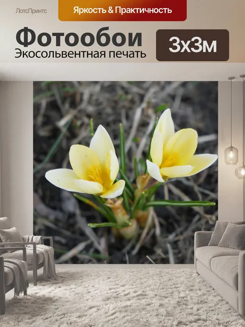 Фотообои Природа