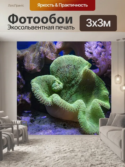 Фотообои Сцены из коралловых рифов