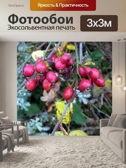 Фотообои Дикие розы