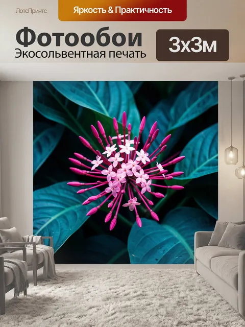 Фотообои Розовое тропическое соцветие крупным планом