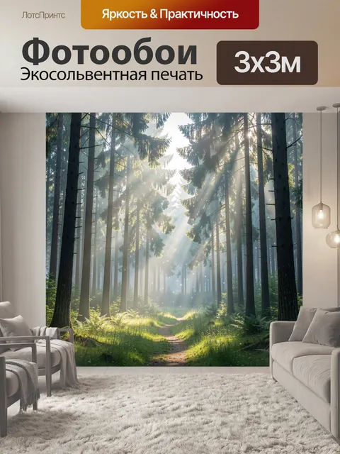 Фотообои Солнечный хвойный лес с тропой