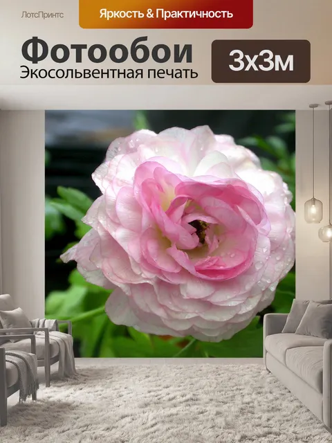 Фотообои Цветок