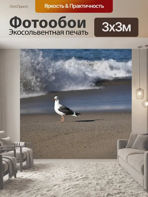 Фотообои Чайки на пляже