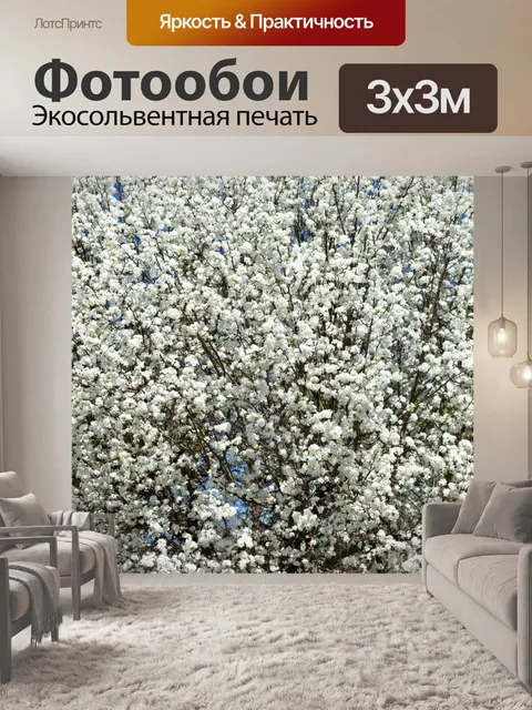 Фотообои Цветы дерева