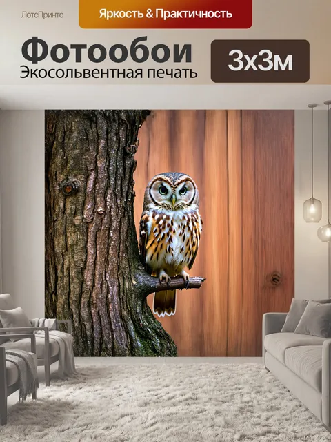 Фотообои сова сидит на ветке старого дерева