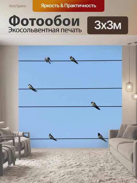 Фотообои Птицы