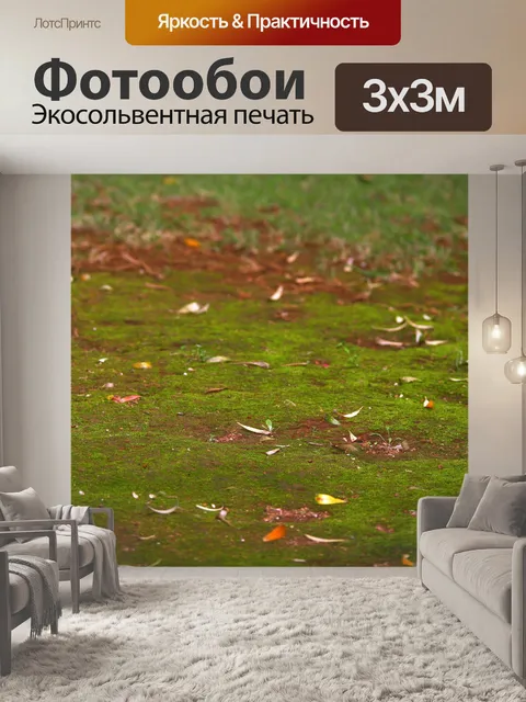 Фотообои моховой