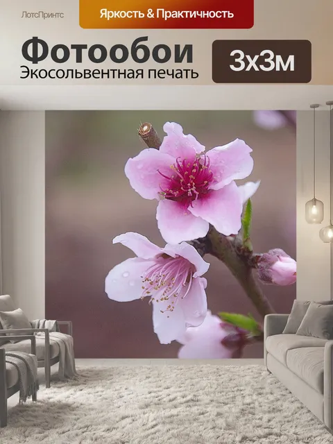 Фотообои Капли дождя на персиковом саду