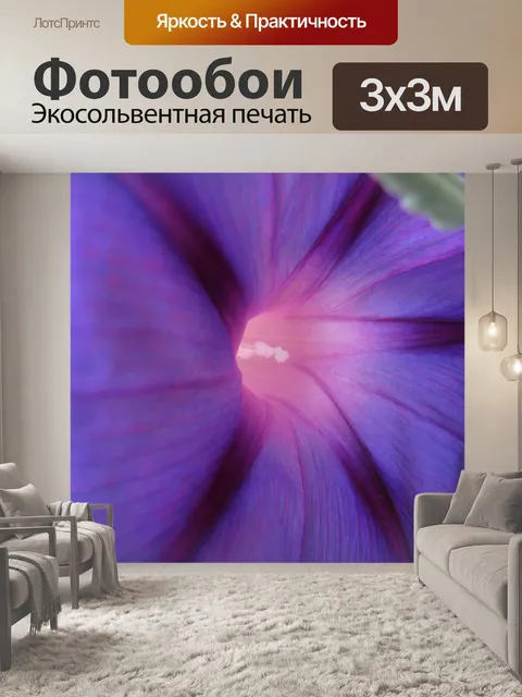 Фотообои ипомеи в фиолетовый