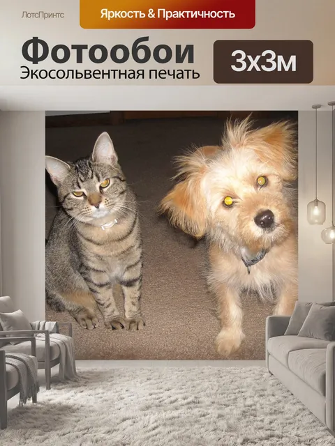 Фотообои Кошка и dog