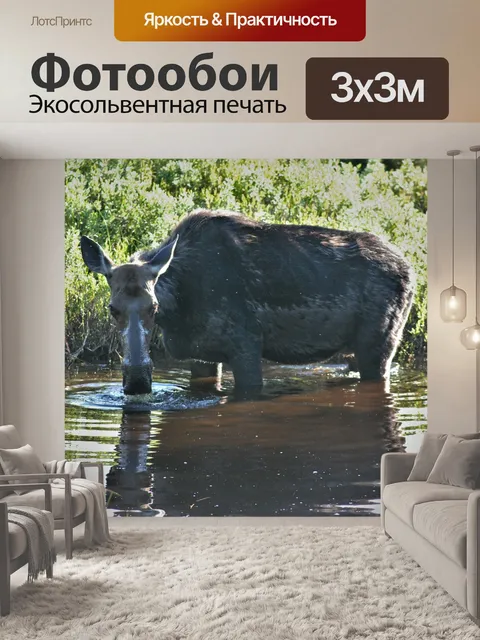 Фотообои Лось