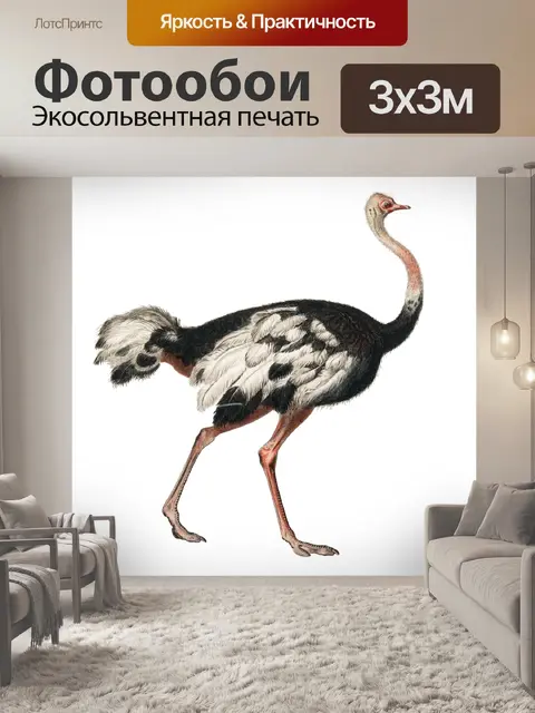 Фотообои Винтажный арт-страус