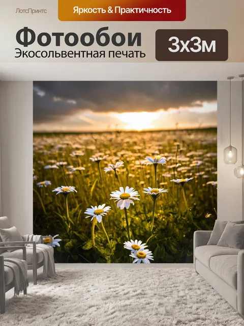 Фотообои поле ромашек на закате, когда золотистый свет играет на лепестках цветов, создавая волшебную атмосферу