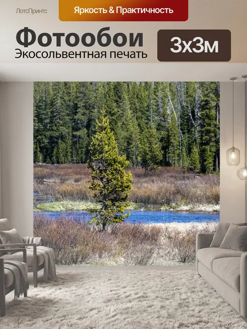 Фотообои Одинокое дерево