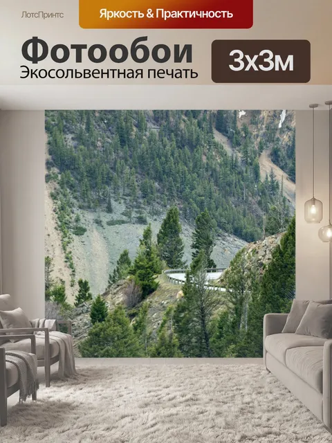 Фотообои Йеллоустонское шоссе
