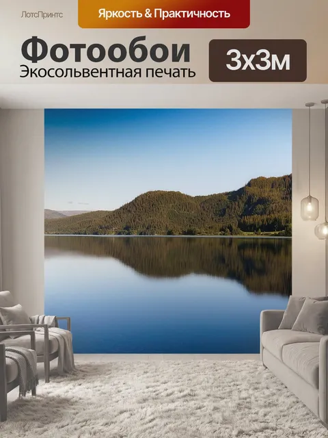 Фотообои Лес