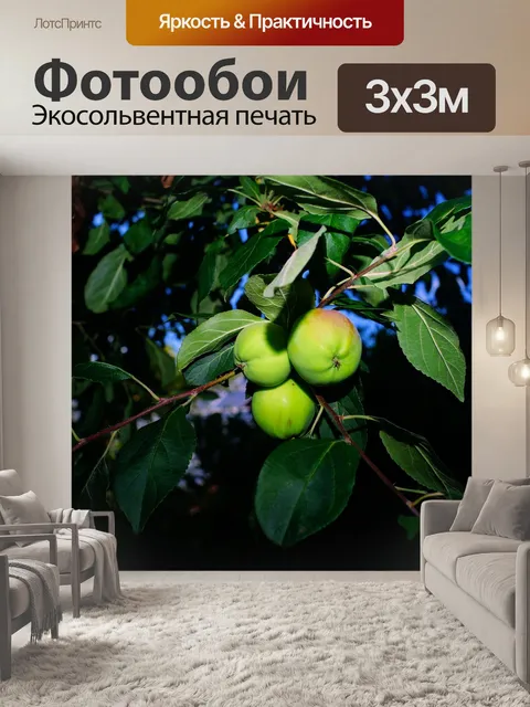 Фотообои Яблоня
