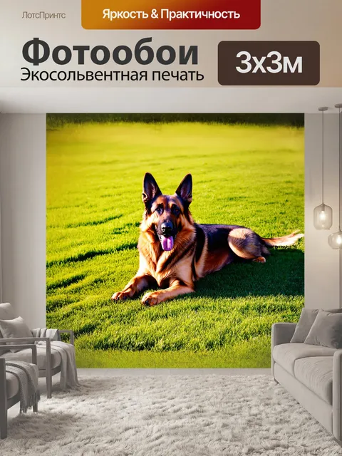 Фотообои немецкая овчарка, удобно расположенная на мягком зеленом газоне, наслаждается теплым солнечным днем
