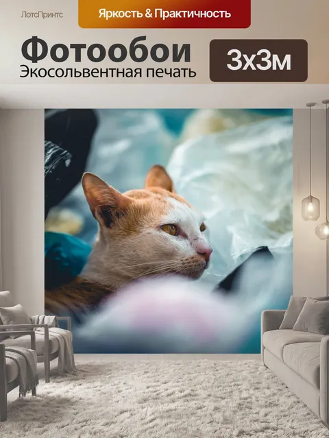 Фотообои Загрязнение