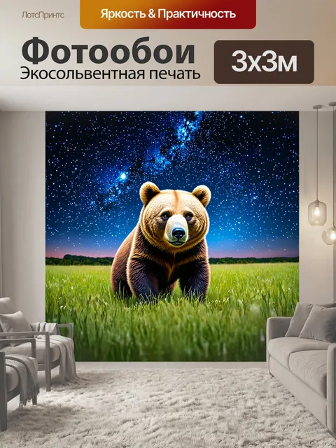 Фотообои медведь, считающий звезды ночью под открытым небом