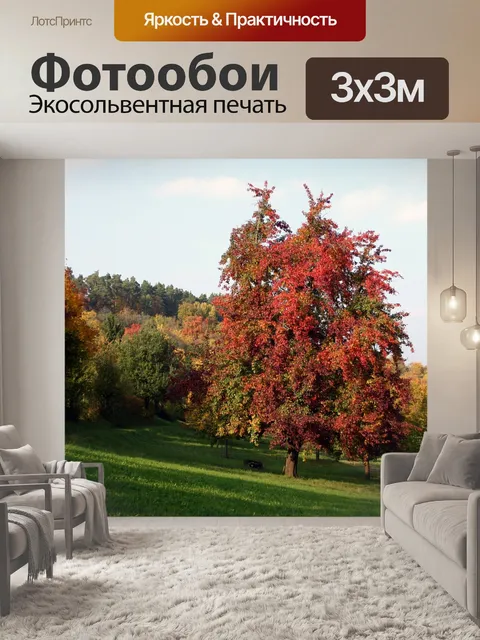 Фотообои Дерево