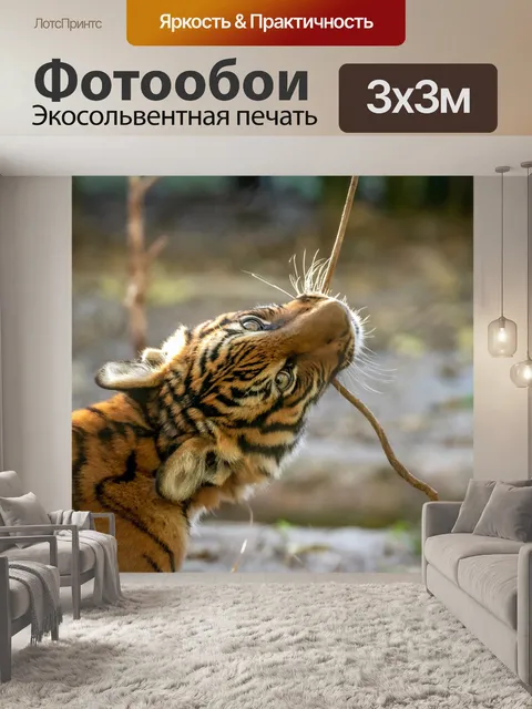 Фотообои Малайский тигренок