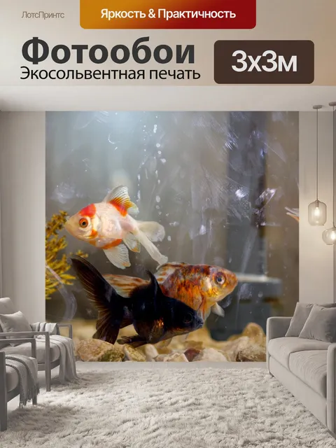 Фотообои Тропические рыбы