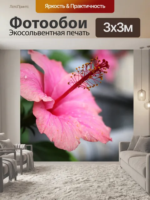 Фотообои Gumamela