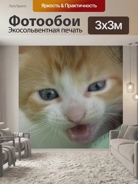 Фотообои Котик