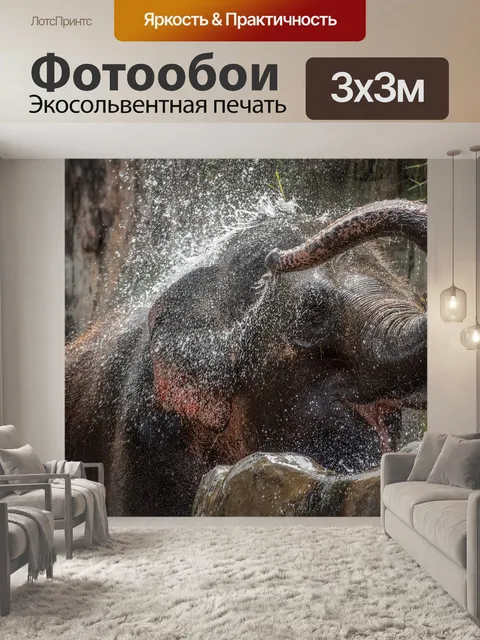 Фотообои Слон