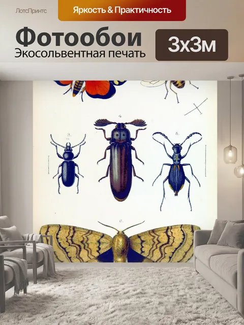 Фотообои Винтажный жук-бабочка старый
