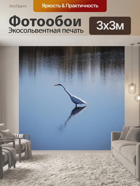 Фотообои Птица