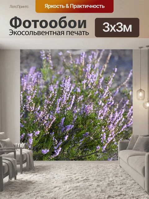 Фотообои Вереск