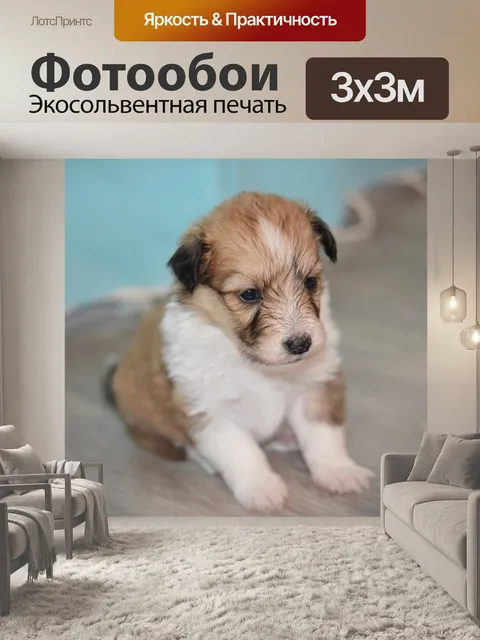 Фотообои Щенок