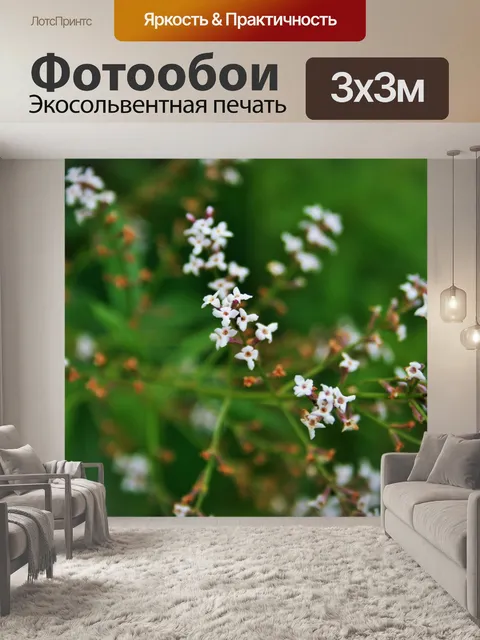 Фотообои веточка лимонной вербены