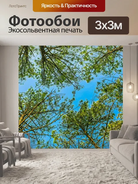 Фотообои Национальный парк Фуруа, Лоэй Таиланд