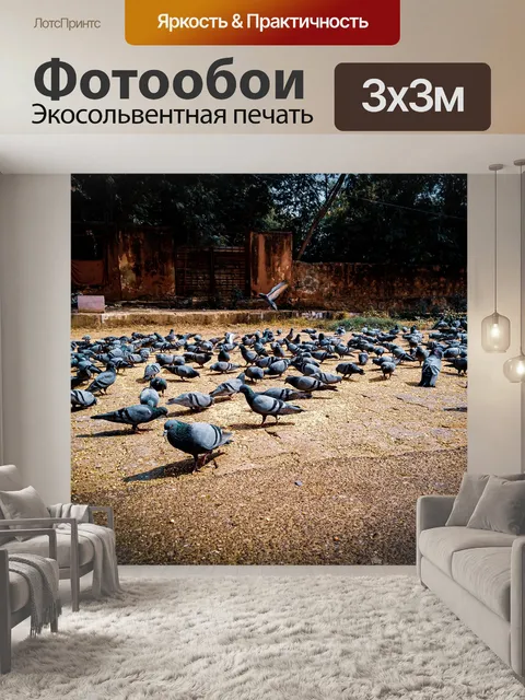 Фотообои Птицы