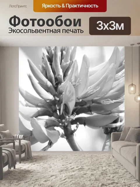 Фотообои Черно-белая Дерево Цветок
